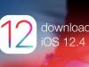 Apple gafează cu iOS 12.4, care lasă o breşă pentru jailbreak şi hack
