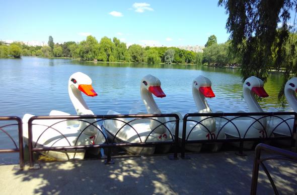 Fairphone 2 - Mostre Foto (ziua): IMG_20170523_084256.jpg