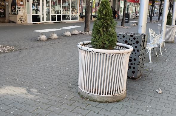 POCO X8 Pro - Mostre foto (ziua): IMG_20260315_114411.jpg