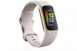 Fitbit_Charge_5_Lunar_White_Soft_Gold.jpeg