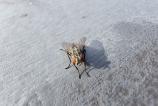 Samsung-Galaxy-Z-Fold7-Mostre-macro_019.jpg