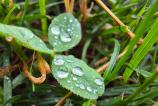 Samsung-Galaxy-Z-Fold7-Mostre-macro_014.jpg