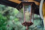 OnePlus-Nord-CE5-bokeh_004.jpg