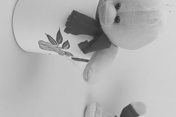 Interfață grafică cameră Bluboo S1