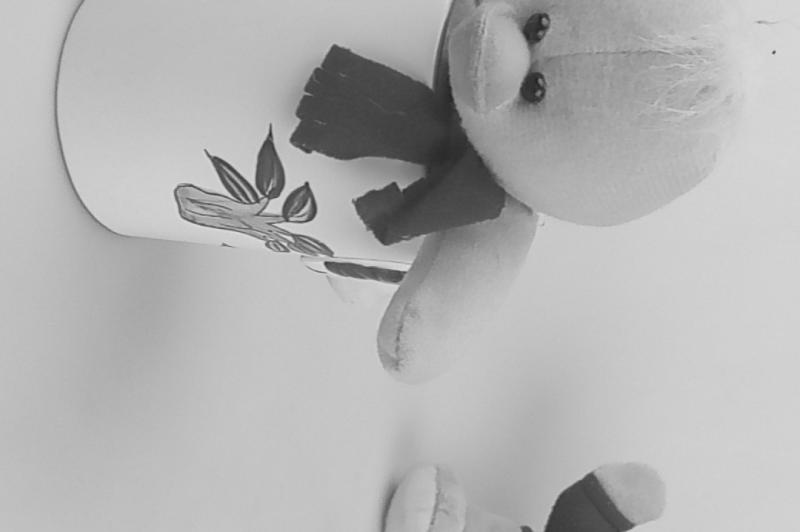 Interfață grafică cameră Bluboo S1: Screenshot_20170819-091909.jpg