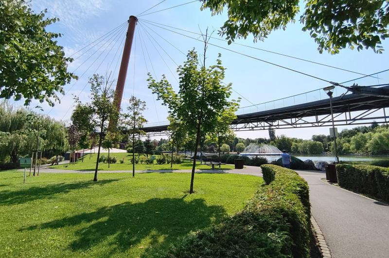 Motorola RAZR 40 - Mostre Foto: IMG_20230707_104354042_HDR.jpg