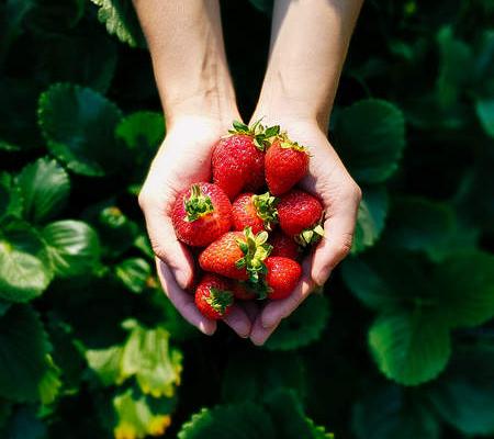 Google Pixel/Pixel XL - Mostre foto