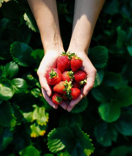 Google Pixel/Pixel XL - Mostre foto: htc-pixel-phone-camera-sample-2.jpg