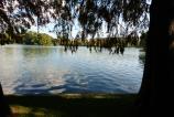 DSC_0089.JPG