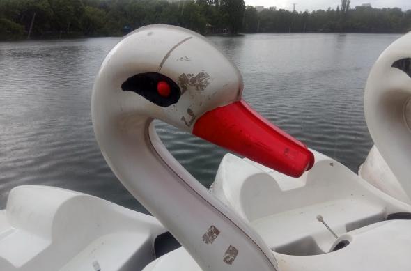 iHunt Alien X - Mostre Foto (ziua): IMG_20190510_164912_0.jpg