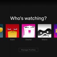 Noi reguli Netflix: Fiecare profil va avea nevoie de o adresă de e-mail proprie pentru autentificare
