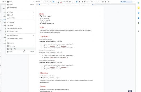 Google Docs - Pageless web: Google-Docs-Pageless-Format-1.jpg