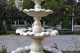 IMG_20160813_162732.jpg