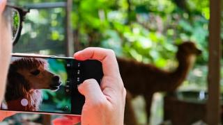 HONOR Magic9 Pro Max trece de la specificații la imagini: primele mostre arată ce poate teleconvertorul de 500 mm