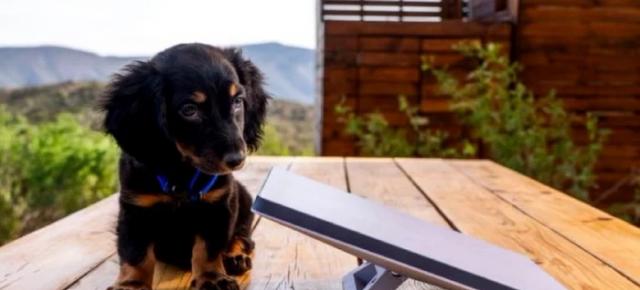 Cât mai costă internetul prin sateliți în România; Starlink renunță la taxa de instalare și oferă echipamentul gratuit