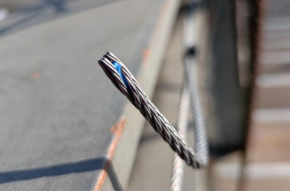 Google Pixel 10a - Mostre macro: Macro_ (14).jpg