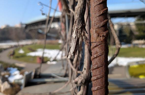 Google Pixel 10a - Mostre zi: Mostre-zi_ (41).jpg