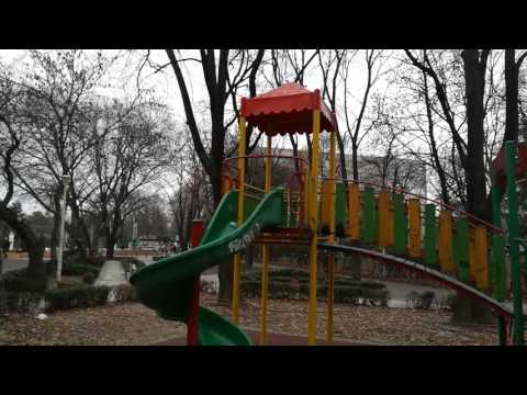 Huawei Honor 8, mostă video Full HD, 30 FPS (culori, zoom) - Mobilissimo.ro
