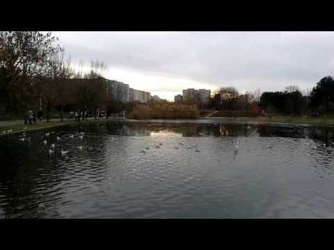 Huawei Honor 8, mostă video Full HD, 30 FPS (panoramare, zoom) - Mobilissimo.ro