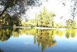 IMG_20171010_152911388.jpg