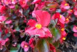IMG_20171010_153721398.jpg