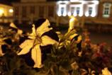 IMG_20171004_014042321.jpg