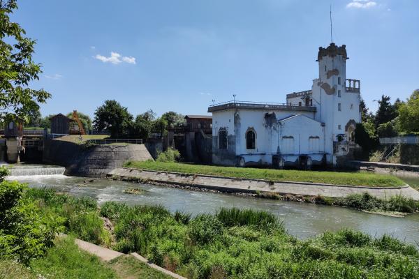 OnePlus Nord - Mostre Foto (ziua)