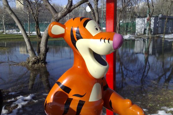 Cum au păcălit pozele făcute cu Nokia N95 o comunitate întreagă