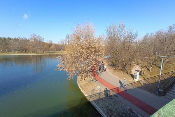 realme 9 Pro+ - Mostre Foto (ziua)