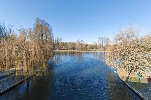 Huawei P50 Pro - Mostre Foto (ziua)