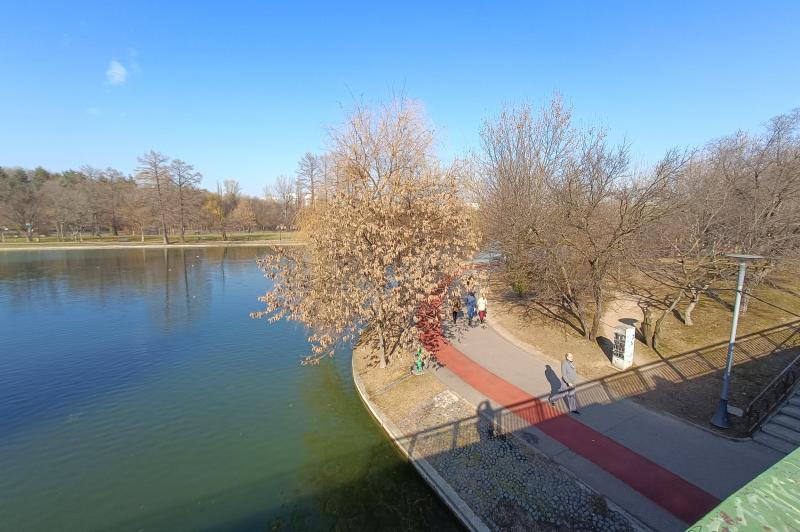 realme 9 Pro+ - Mostre Foto (ziua): IMG20220215142532.jpg