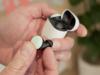 Google ar putea anunța și alte gadget-uri alături de seria Pixel 10; Apar la orizont căștile Pixel Buds 2a și un încărcător wireless pentru dispozitive