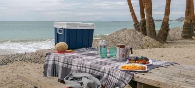 E LUNI e AMAZON: Mobicool MQ40W, ladă frigorifică electrică portabilă de 39 l cu alimentare 12V/230V și roți, ideală pentru camping și vacanțe