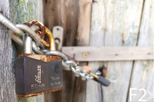 Vot în orb Samsung Galaxy S10+: closeup.jpg