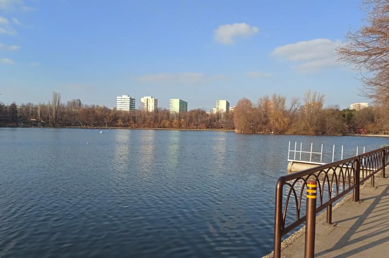 Allview Soul X5 Style - Mostre Foto (ziua): IMG_20190209_154000.jpg