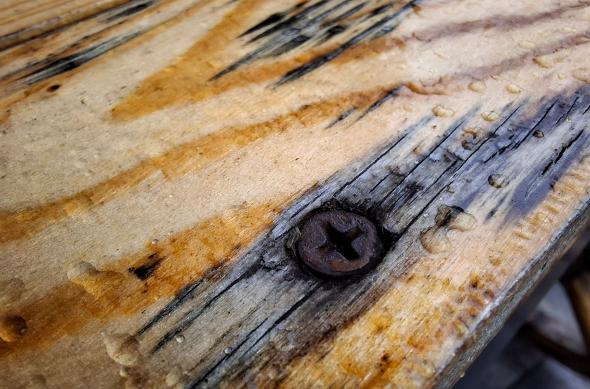 Samsung Galaxy A37 - Mostre closeup, macro: Macro-closeup_ (6).jpg