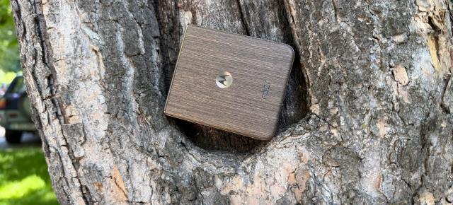 Motorola RAZR 70 Ultra: Design șic și compact, în nuanțe Pantone cu finisaj de lemn sau alcantara