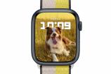 Apple-WatchOS9-Teme (7).jpg