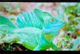 Allview-50iPlay6200-U-Foto_007.jpg
