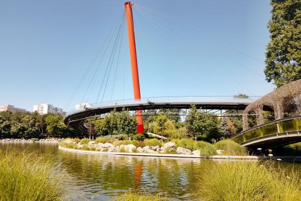 HMD Pulse Pro - Mostre Foto (ziua)