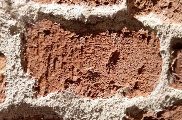 Nokia 8 Sirocco - Mostre Foto (seara): IMG_20180919_004910.jpg