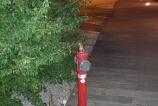 20180830_005815.jpg
