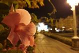 20180830_014126.jpg