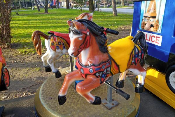 CAT S52 - Mostre Foto (ziua)