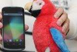 lg_google_nexus_4_01.jpg