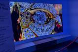 TV (1).jpg