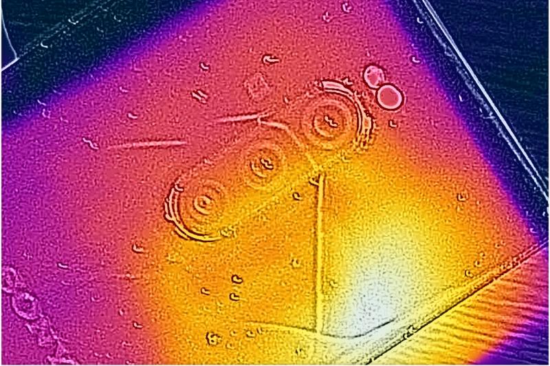 Test termic Sony Xperia 1: flir_20190625T170548.jpg