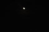 IMG_20240921_220729.jpg