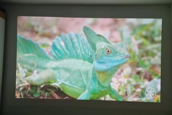 ViewSonic X11-4K - Mostre foto (imagine)