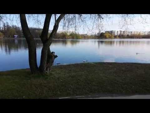 Samsung Galaxy S6 Edge video sample (1080p 60 FPS) - Mobilissimo.ro